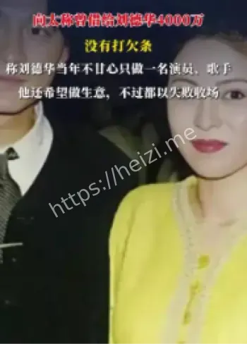 向太刘德华借款恩情